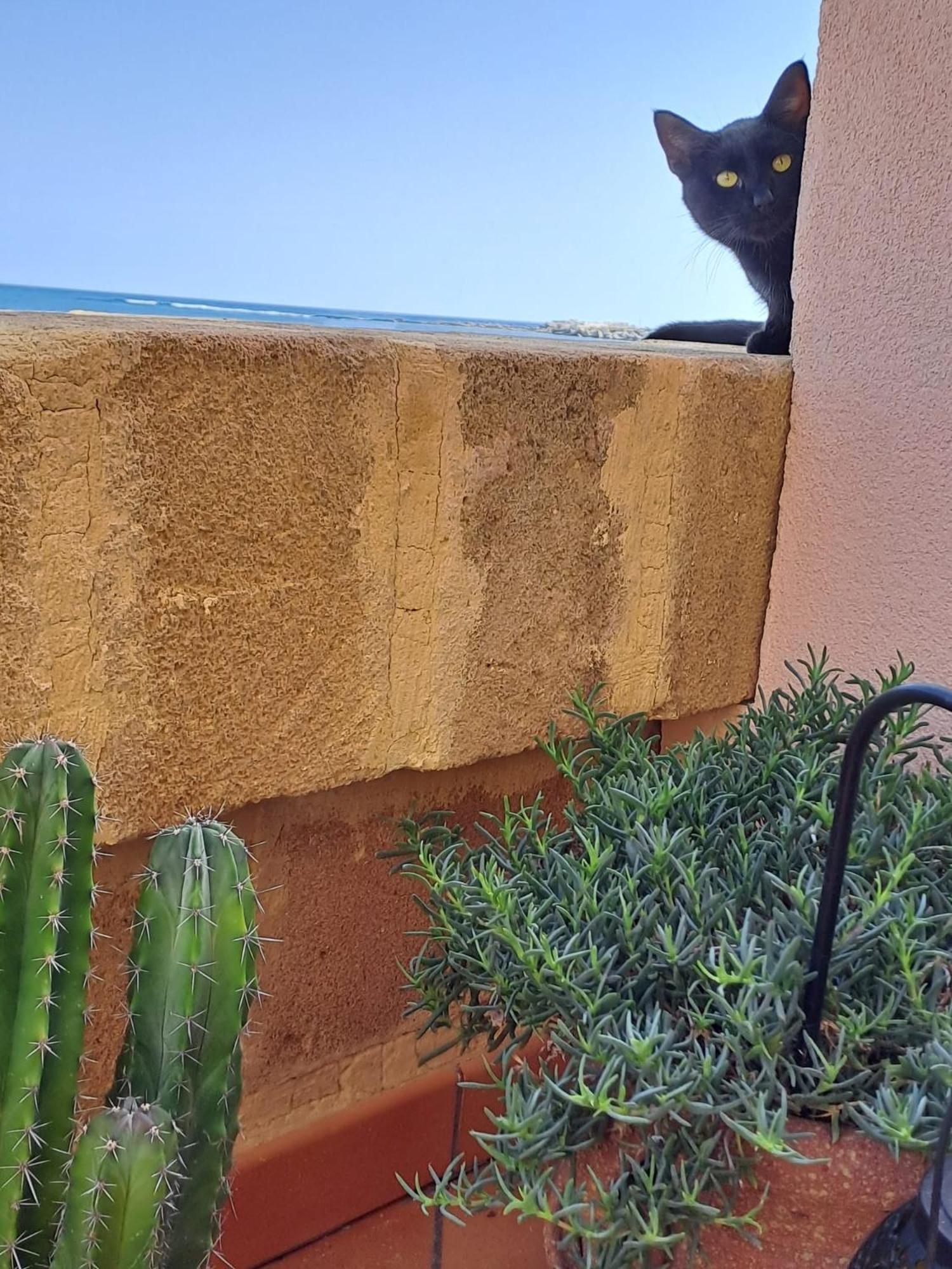מרצאממי La Casa Sulla Spiaggia מראה חיצוני תמונה